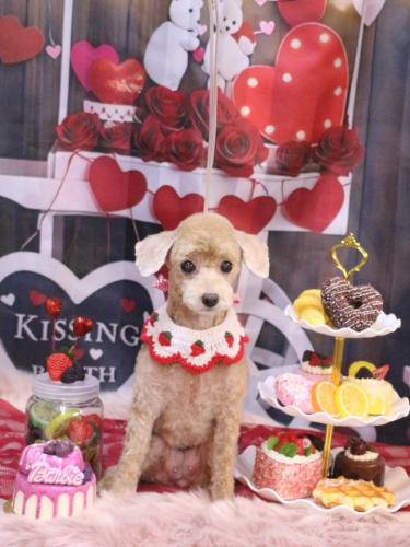 20250209ネネちゃん